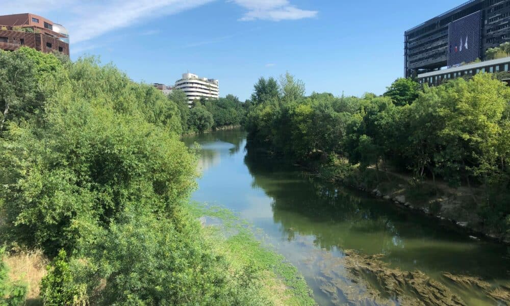 Weather forecast for Thursday 5 August in Montpellier